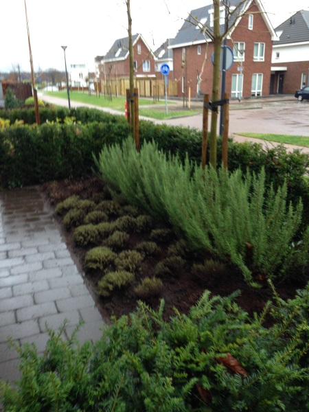 voortuin